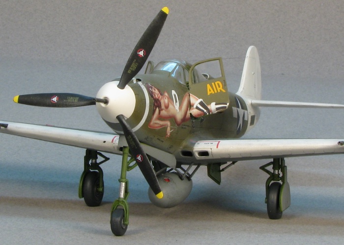 Model Image