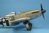 Tamiya 1/48 scale P-51D Mustang by Scott Miller: Image