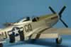 Tamiya 1/48 scale P-51D Mustang by Scott Miller: Image