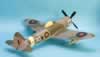 Vintage Fighter Series 1/24 scale P-47D Thunderbolt by Ted Taylor: Image