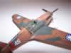 Trumpeter 1/72 scale P-40B by Bill Kopos: Image