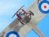 Eduard 1/48 scale Sopwith Pup by Garfield Ingram: Image