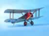 Eduard 1/48 scale Sopwith Pup by Garfield Ingram: Image