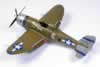 Tamiya 1/48 scale P-47D Thunderbolt by Darren Dickerson: Image