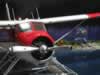 1/24 scale Cedar Creek DHC-2 Beaver: Image