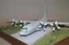 Italeri 1/72 C-130H / TP-84 by Ola Moller: Image