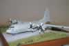 Italeri 1/72 C-130H / TP-84 by Ola Moller: Image