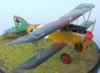 Roden 1/32 scale Albatros D.III by Bruce Salmon: Image