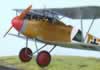 Roden 1/32 scale Albatros D.III by Bruce Salmon: Image