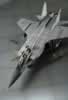 Zvezda 1/72 scale MiG-31B Foxhound by Yufei Mao: Image