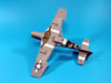 Hasegawa 1/48 scale P-51D Mustang: Image