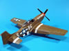 Hasegawa 1/48 scale P-51D Mustang: Image