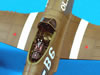 Hasegawa 1/48 scale P-51D Mustang: Image