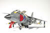 Airfix + Flightpath Sea Harrier FRS.1 by Ingo Degenhardt: Image