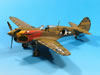 Hasegawa 1/48 scale P-40N Warhawk by Luis Antonio Reyes Lavin: Image