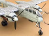 Tamiya 1/48 scale Heinkel He 219 A-0 by Aldo Bassaletti: Image