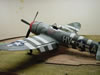 Hasegawa 1/32 scale P-47D Thunderbolt "Bubbletop" by Osvaldo Viggiani: Image