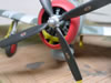 Hasegawa 1/32 scale P-47D Thunderbolt "Bubbletop" by Osvaldo Viggiani: Image