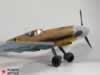 Hasegawa 1/48 Bf 109 F-4 by Ayhan Toplu: Image