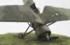 Mirage Hobby 1/48 scale PZL P.11c: Image