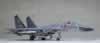 ICM 1/72 scale J-11A by Yufei Mao: Image