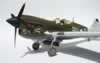 Hasegawa 1/32 P-40N by Michael Woodgate: Image