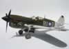 Hasegawa 1/32 P-40N by Michael Woodgate: Image