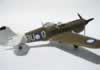 Hasegawa 1/32 P-40N by Michael Woodgate: Image