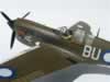 Hasegawa 1/32 P-40N by Michael Woodgate: Image