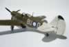 Hasegawa 1/32 P-40N by Michael Woodgate: Image