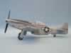 Hasegawa 1/32 scale P-51D Mustang by Franz Galli Chavarria: Image