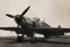 Hasegawa 1/48 scale Messerschmitt Bf 109 F-2 by Alessandro Morandi: Image