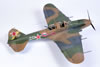 Accurate Mniatures 1/48 scale Il-2m3 by Calum Gibson: Image