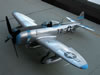 Hasegawa 1/32 scale P-47D Thunderbolt: Image