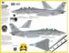 Fightertown Decals 1/32 scale Fighting 84 F-14 Decal Review by Rodger Kelly: Image