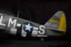 Hasegawa 1/32 scale P-47D Thunderbolt by Matt Odom: Image