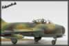 Hobbycraft 1/48 scale MiG-17F by Oliver Peissl: Image