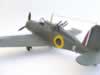 Special Hobby 1/48 Blackburn Roc by Pedro Perez: Image