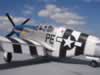 Tamiya 1/48 scale P-51B Mustang: Image