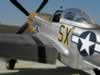 Dragon P-51D Mustang by Paul Coudeyrette: Image