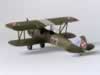 RPM 1/72 PWS-26 : Image