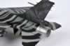 Kinetic 1/48 scale F-16A Tiger Meet 2009 by Mick Evans: Image