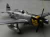 Hasegawa 1/32 scale P-47D Thunderbolt by Paul Coudeyrette: Image