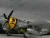 Hasegawa 1/32 scale P-47D Thunderbolt by Paul Coudeyrette: Image