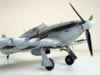 Hasegawa 1/48 scale Sea Hurricane Mk.IIc by Rafi Ben-Shahar: Image