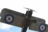 Wingnut Wings 1/32 scale SE.5a by Mario Riccioni: Image