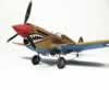 Academy 1/72 scale P-40E by Dario Giuliano: Image