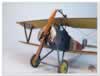 Eduard 1/48 scale Nieuport Ni.11 by Manuel Soriano: Image