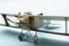 Eduard 1/48 scale Roland C.II by Roland Sachsenhofer: Image