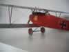 Roden 1/32 scale Albatros D.III by Doug Craner: Image